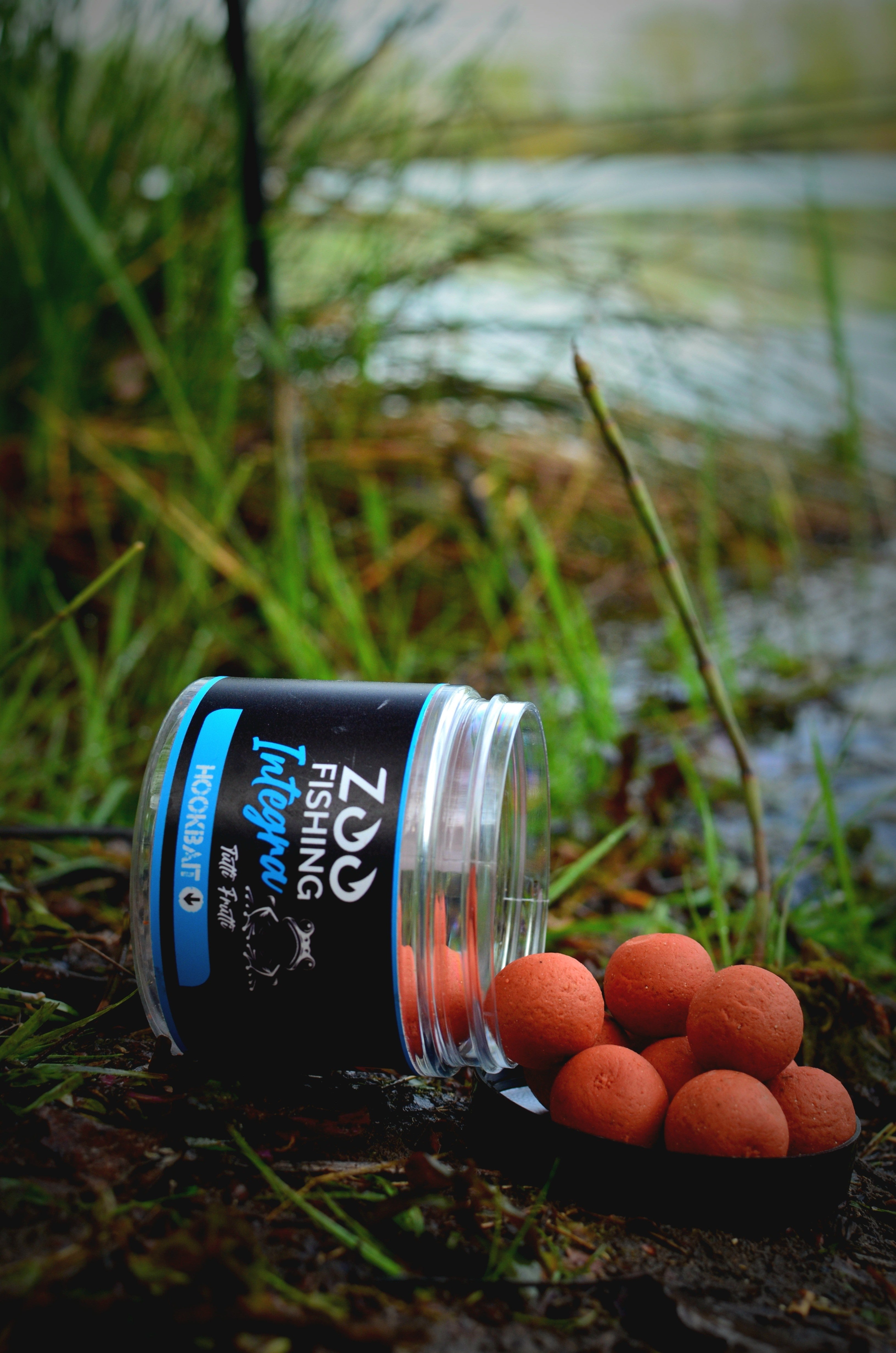 Hook Bait POT ZooFishing Integra