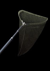 Solar P1 Bow-Loc Guadino