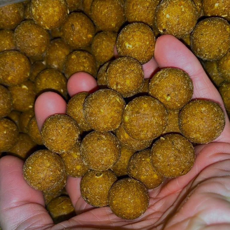 Boilies ZooFishing Baiting Shooter 5kg