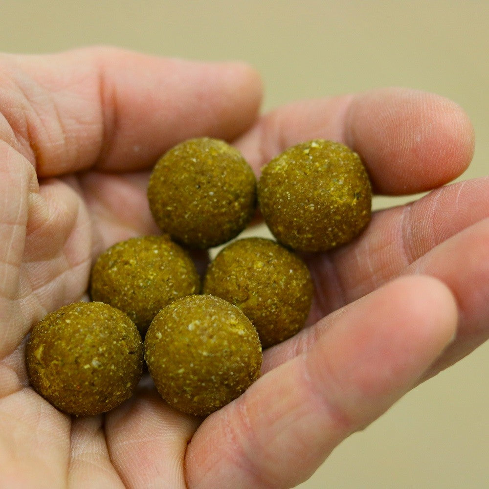 Boilies ZooFishing Baiting Shooter 5kg