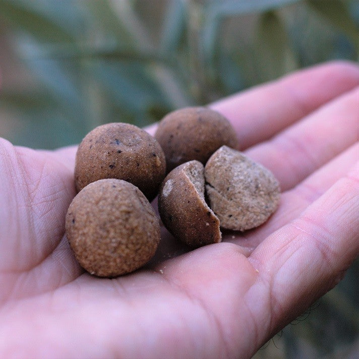 Hook Bait ZooFishing Boilies Marine 20mm