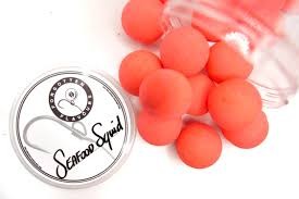 Forgotten Flavors Seafood Squid 24mm Popups