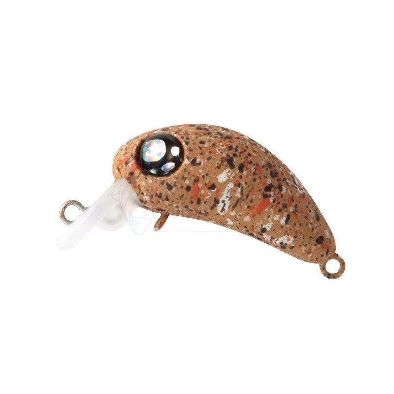 ROB LURE CHELSEA F