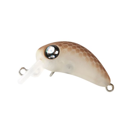 ROB LURE CHELSEA F