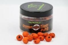 CARP OLD SCHOOL Tiger innesco
