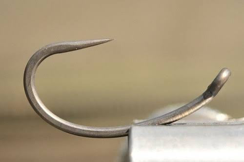 KORDA KURV SHANK B
