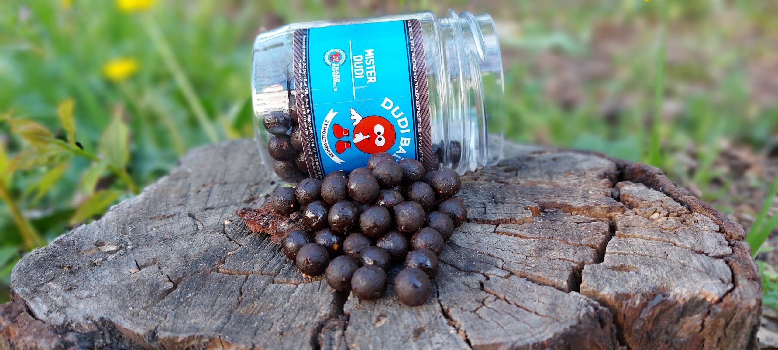 HookBaits Mister Dudi “Glugged Boilies” hard 24mm