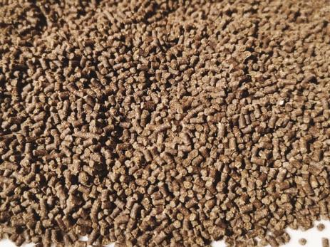 Micropellet per mangimi Dudi Bait